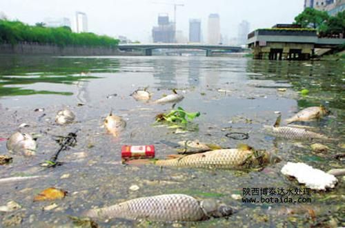 離子交換樹脂對污染如何進行處理？